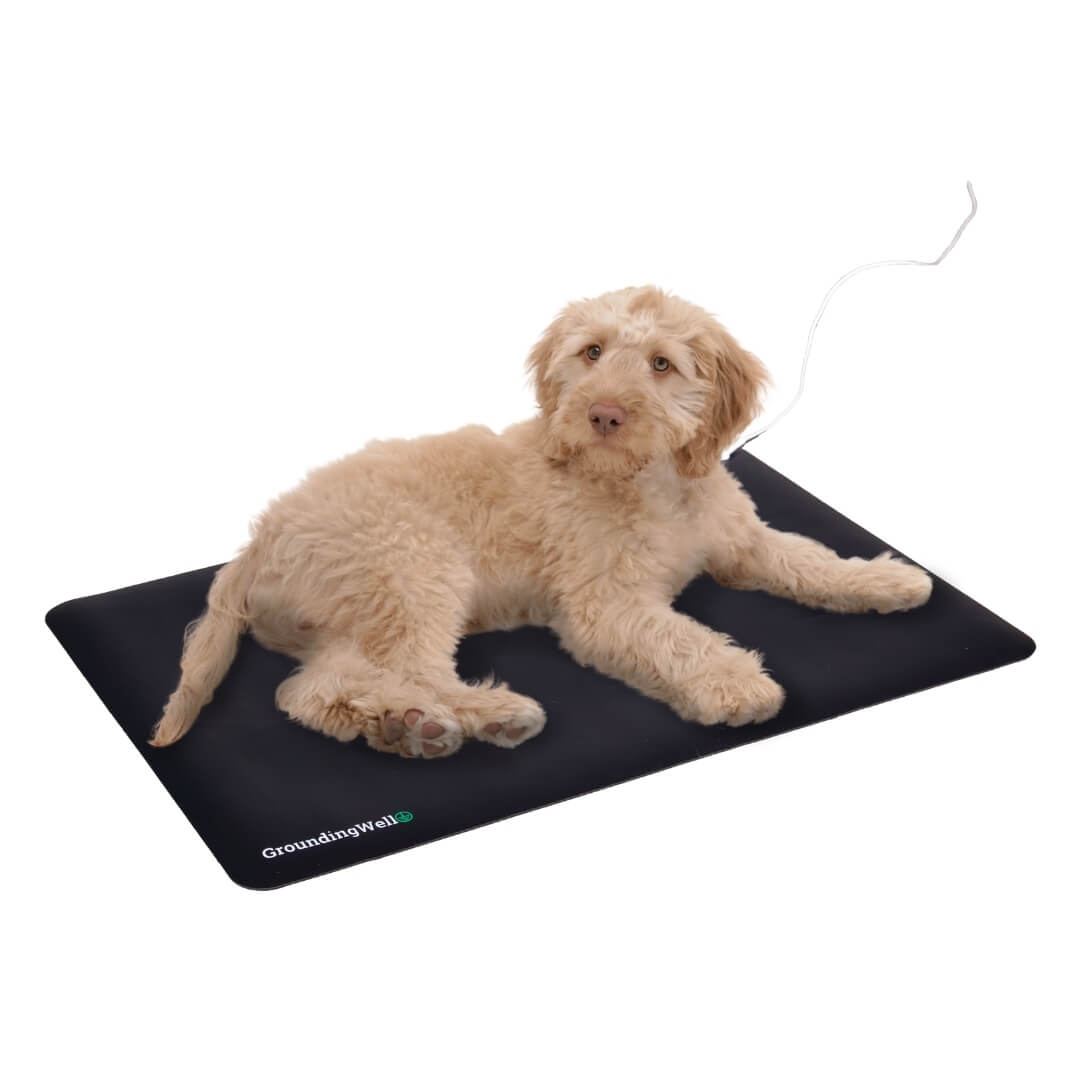 Groundingwell™ Pet Mat