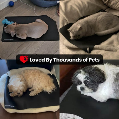 Groundingwell™ Pet Mat